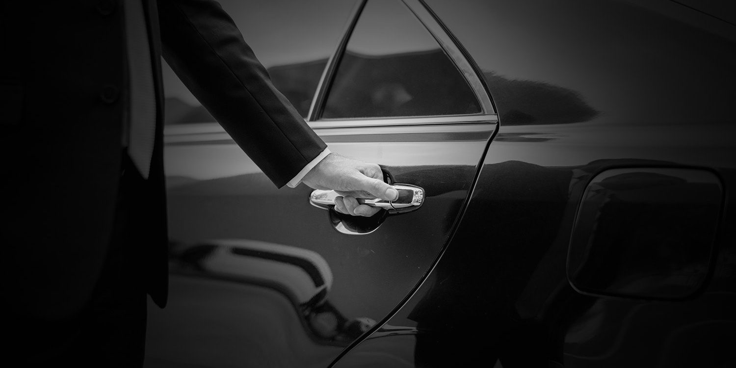 Best Pet Chauffeur in London Today